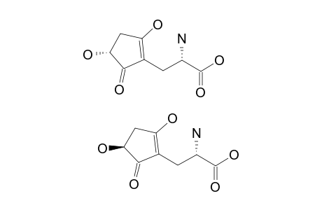 3-(2,4-HYDROXY-5-OXO-1-CYCLOPENTEN-1-YL)-ALANINE