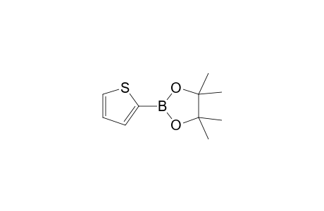 2-(4,4,5,5-Tetramethyl-1,3,2-dioxaborolan-2-yl)thiophene