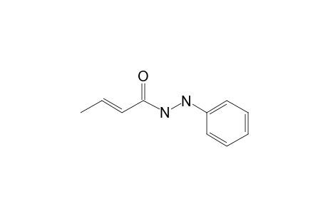 2-Butenoic acid, 2-phenylhydrazide