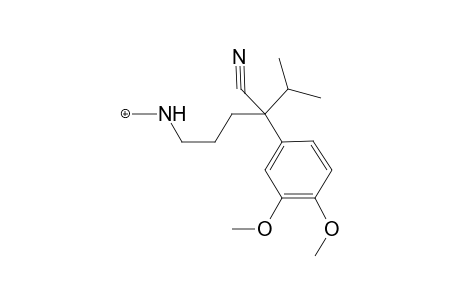 Verapamil-M (nor-) MS3_1