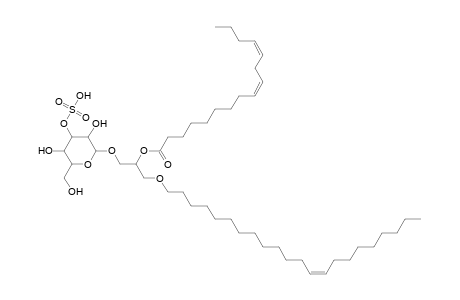 SMGDG O-22:1_16:2