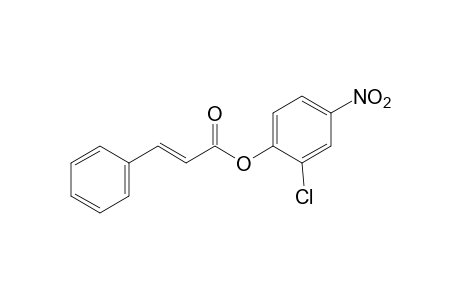 Trans-cinnamic acid, 2-chloro-4-nitrophenyl ester