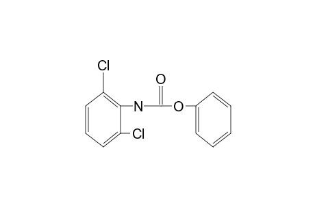 2,6-dichlorocarbanilic acid, phenyl ester