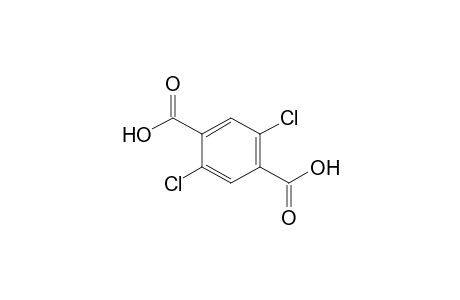 2,5-Dichloroterephthalic acid