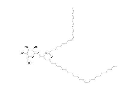 MGDG O-24:1_19:1