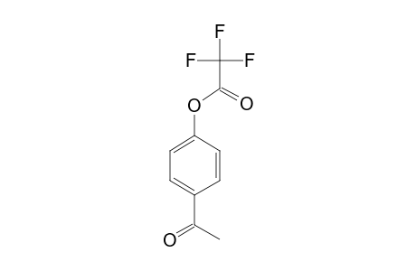 4-Acetylphenyl 2,2,2-trifluoroacetate