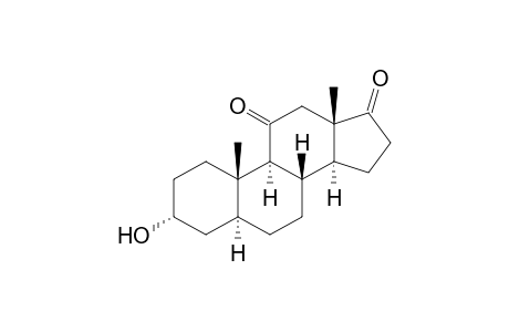 11-Ketoandrosterone