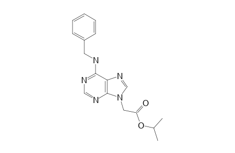N(6)-BENZYLAMINO-9-(ISO-PROPOXYCARBONYLMETHYL)-PURINE