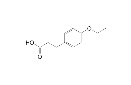 3-(4-Ethoxyphenyl)propionic acid