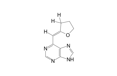 6-[(Z)-2-oxolanylidenemethyl]-7H-purine