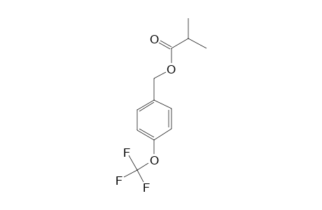 4-(Trifluoromethoxy)benzyl alcohol, 2-methylpropionate