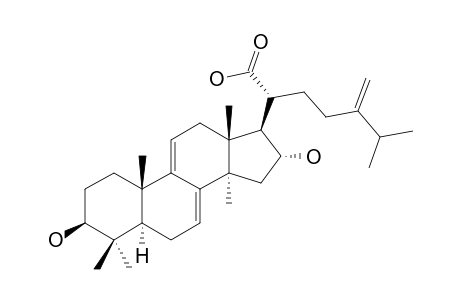 DEHYDROTUMULOSIC-ACID