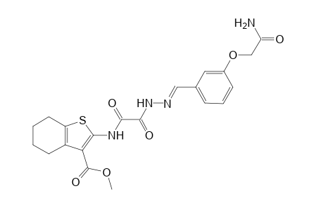 methyl 2-{[{(2E)-2-[3-(2-amino-2-oxoethoxy)benzylidene]hydrazino}(oxo)acetyl]amino}-4,5,6,7-tetrahydro-1-benzothiophene-3-carboxylate