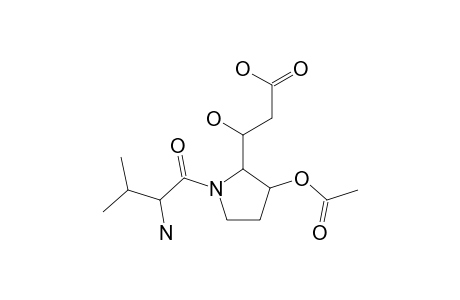 DETOXIN-A1