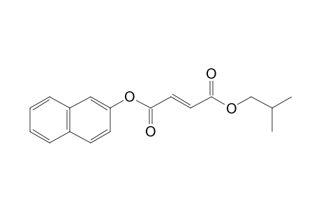 Fumaric acid, isobutyl 2-naphthyl ester