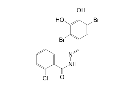 benzoic acid, 2-chloro-, 2-[(E)-(2,5-dibromo-3,4-dihydroxyphenyl)methylidene]hydrazide