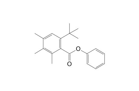 PHENYL-6-TERT.-BUTYL-2,3,4-TRIMETHYLBENZOATE