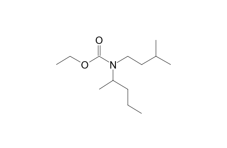 Carbonic acid, monoamide, N-(2-pentyl)-N-(3-methylbutyl)-, ethyl ester