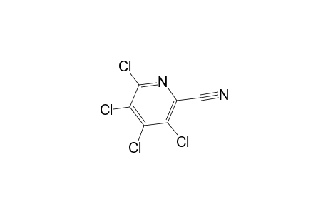 3,4,5,6-TETRACHLOROPICOLINONITRILE