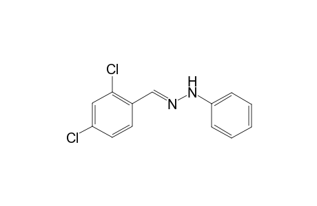2,4-Dichlorobenzaldehyde phenylhydrazone
