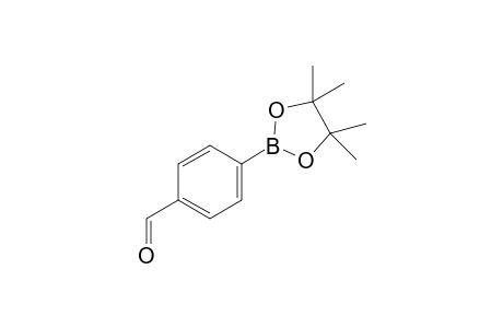 4-Formylbenzeneboronic acid pinacol ester