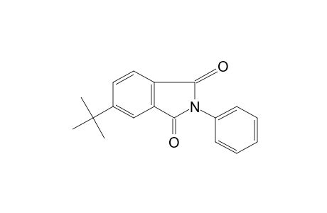 4-tert-butyl-N-phenylphthalimide