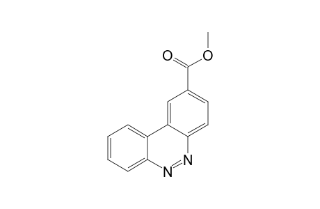 Benzo[c]cinnoline-2-carboxylic acid, methyl ester