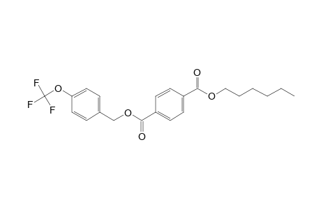 Terephthalic acid, hexyl 4-trifluoromethoxybenzyl ester