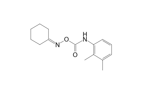 cyclohexanone, O-[(2,3-xylyl)carbamoyl]oxime