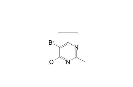 5-BROMO-4-TERT.-BUTYL-2-METHYLPYRIMIDIN-6-OL