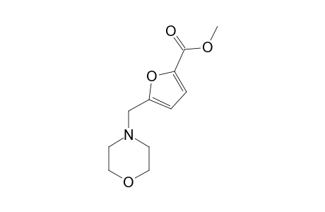 5-(morpholinomethyl)-2-furoic acid, methyl ester