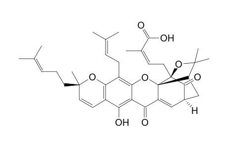 Gambogic acid