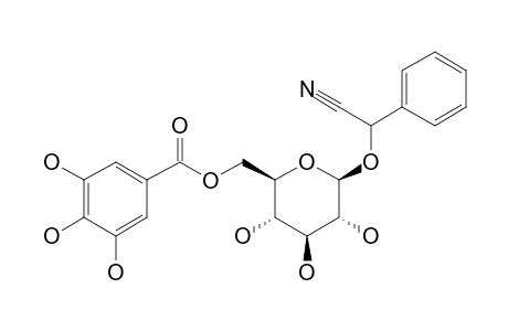 3,4,5-trihydroxybenzoic acid [(2R,3S,4S,5R,6R)-6-(cyano-phenyl-methoxy)-3,4,5-trihydroxy-tetrahydropyran-2-yl]methyl ester