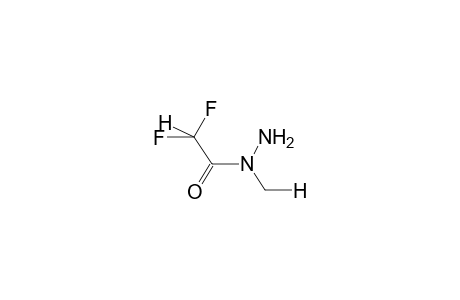 (E)-N-METHYL-N-DIFLUOROACETYLHYDRAZINE