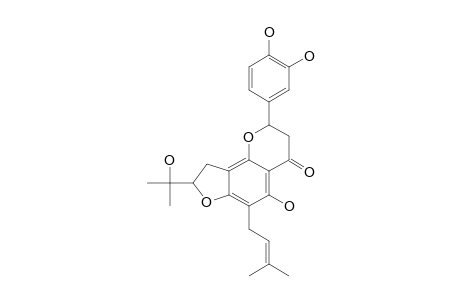 DORSMANIN-F;7,8-[2''-(1-HYDROXY-1-METHYLETHYL)-DIHYDROFURANO]-6-PRENYL-5,3',4'-TRIHYDROXYFLAVANONE