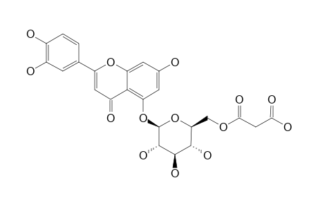 LUTEOLIN_5-O-(6''-MALONYL-BETA-D-GLUCOPYRANOSIDE)
