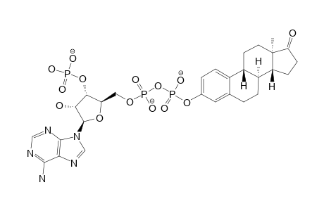 3'-PHOSPHO-ADENOSINE-5'-DIPHOSPHO-(3-ESTRONE)