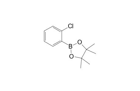 2-(2-Chlorophenyl)-4,4,5,5-tetramethyl-1,3,2-dioxaborolane