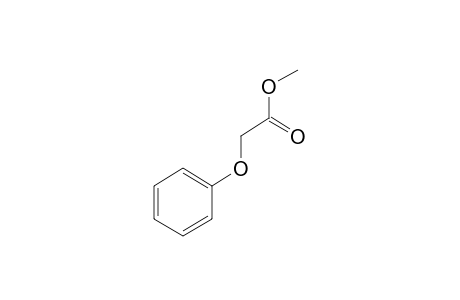 Phenoxyacetic acid methylester