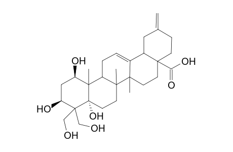 1.beta.,3.beta.,5.alpha.,23,24-Pentahydroxy-30-norolean-12-20(29)-dien-28-oic acid