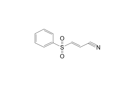 (2E)-3-(Phenylsulfonyl)-2-propenenitrile