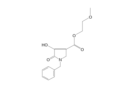 1-benzyl-4-hydroxy-5-oxo-3-pyrroline-3-carboxylic acid, 2-methoxyethyl ester