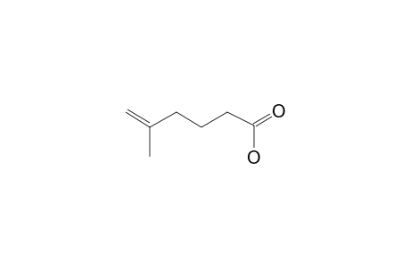 5-Hexenoic acid, 5-methyl-