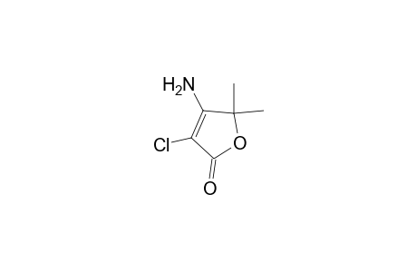 2(5H)-Furanone, 4-amino-3-chloro-5,5-dimethyl-