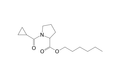 L-Proline, N-(cyclopropylcarbonyl)-, hexyl ester