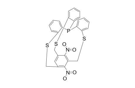 Dinitrophosphaphane