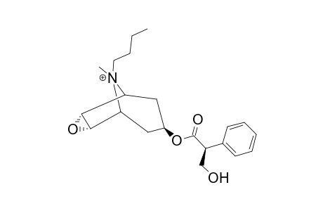 Butylscopolammonium