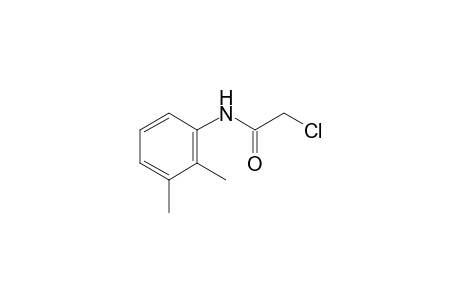 2-chloro-2',3'-acetoxylidide