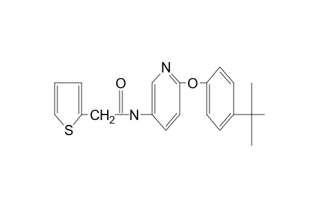N-[6-(p-tert-butylphenoxy)-3-pyridyl]-2-thiopheneacetamide