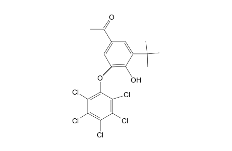 3'-tert-butyl-4'-hydroxy-5'-(pentachlorophenoxy)acetophenone